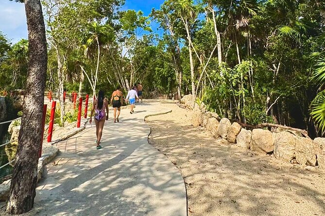 Casa Tortugas cenotes, Tulum Mayan site and Madre Naturaleza tour - Food, water, and what to pack