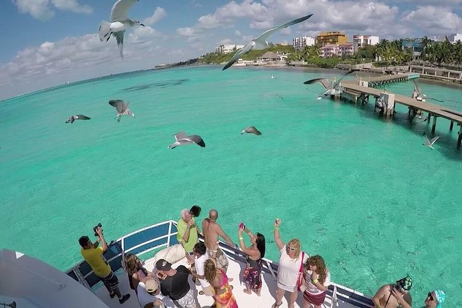 Catamaran Adventure Tour Isla Mujeres Unlimited from Cancun with Transportation - Buffet lunch, beach club, and open-bar value