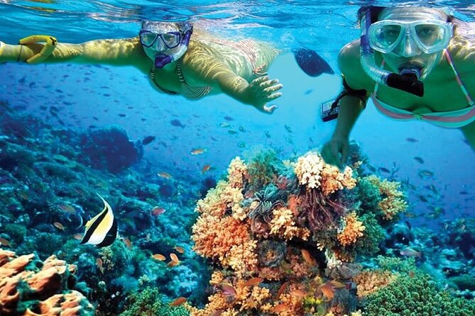 Catamaran Sailing to Isla Mujeres with Snorkeling, Lunch & Open Bar included - What the crew adds to the day