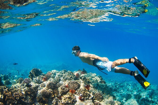 Catamaran to Isla Mujeres at sunset pick up Cancun - Group size, clothing, and practical comfort