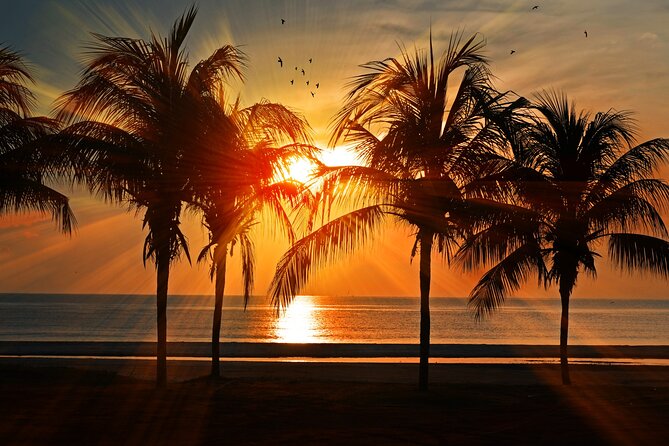 Catamaran to Isla Mujeres at sunset pick up Cancun - Swimming from the catamaran