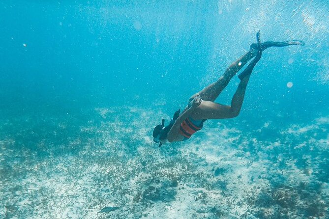 Catamaran Tour to Isla Mujeres Cancun - One hour to explore Isla Mujeres