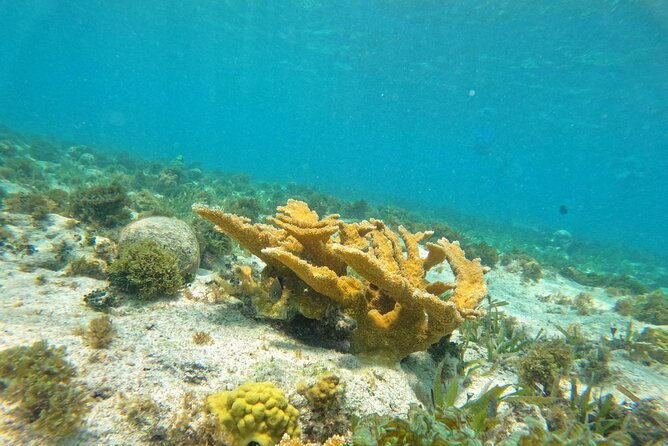 Catamaran with Snorkeling and North Beach, Isla Mujeres - Golf carts, taxis, and the cost of independence