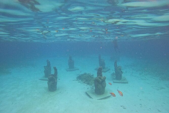 Catamaran with Snorkeling and North Beach, Isla Mujeres - Who will enjoy this catamaran trip most