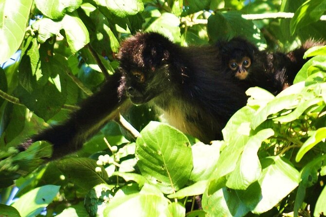 Cenote La Noria Tour + Jewelry Shopping Tour + Tequilera - Pickup is the part to handle carefully