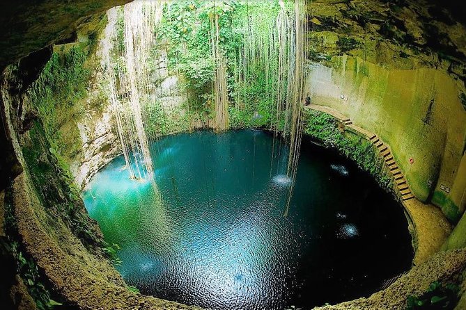 An open cenote in the Yucat&aacute;n jungle, tree roots hanging to the water