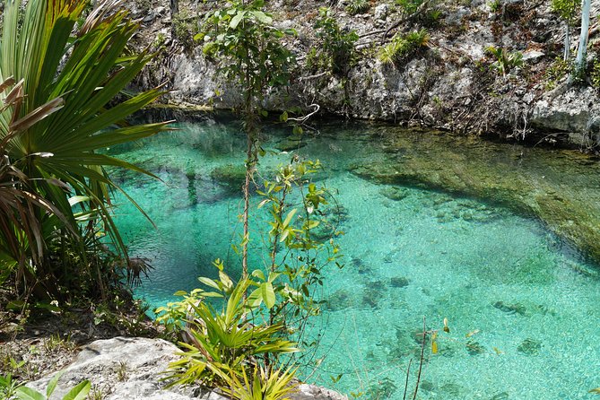 Coba, Tulum, Cenote and Mayan Village All Inclusive Tour - What the $175 price really covers