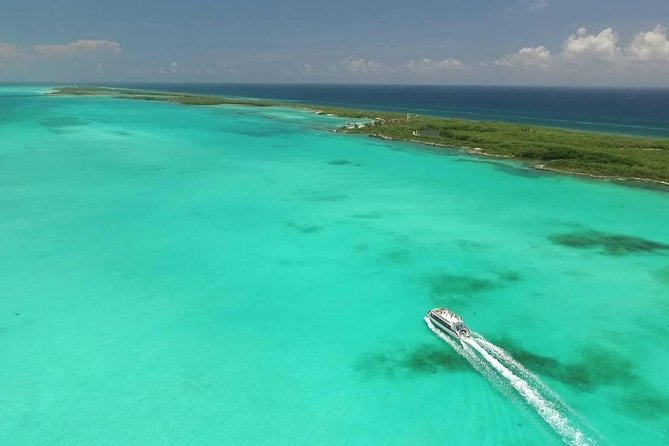 Contoy Caribbean Adventure! Round Transportation from Cancun - Why Contoy Island is the reason to book