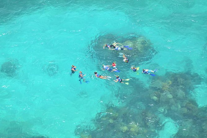 Contoy Caribbean Adventure! Round Transportation from Cancun - A Mexican buffet and drinks after lunch