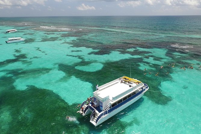 Contoy Caribbean Adventure! Round Transportation from Cancun - Isla Mujeres: one hour, no more