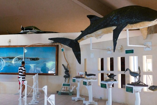 Contoy Island Tour from Cancun and Isla Mujeres with Snorkeling - Snorkeling near Contoy, weather permitting