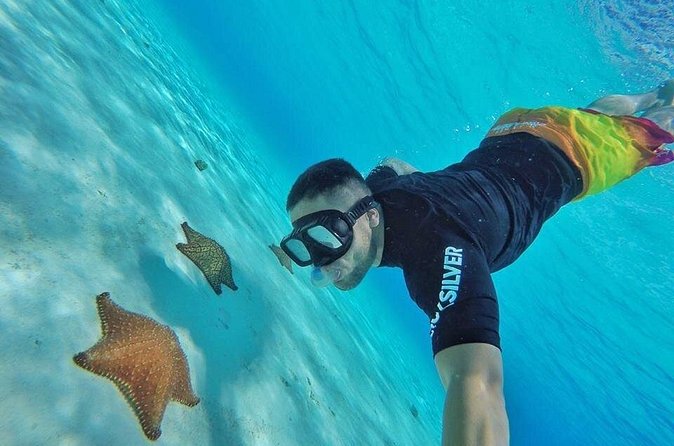 Cozumel by transparent boat and snorkeling in the sky with lunch. - A short snorkel at the Lego reefs