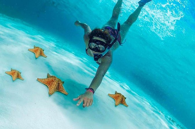 Cozumel by transparent boat and snorkeling in the sky with lunch. - Lunch in Cozumel, with one dish and one drink