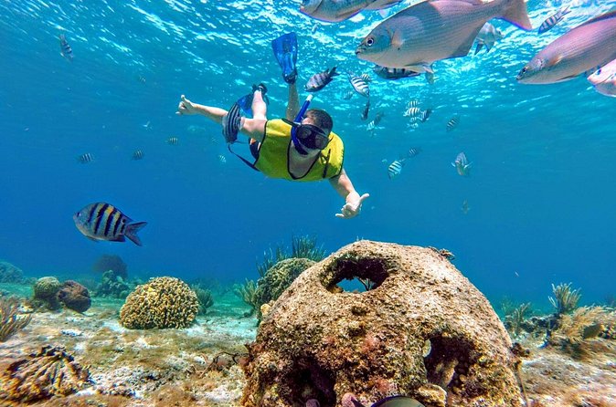 Cozumel by transparent boat and snorkeling in the sky with lunch. - Returning to Cancun after a full day