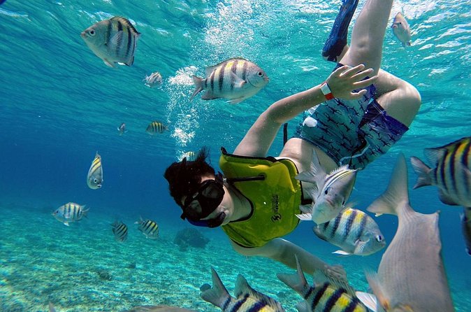Cozumel by transparent boat and snorkeling in the sky with lunch. - What the $200 price really covers