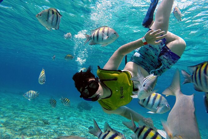 Cozumel by transparent boat and snorkeling in the sky with lunch. - Seeing Cozumel through a transparent boat