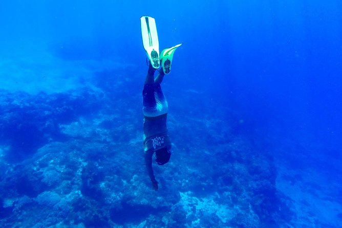 Cozumel Catamaran Snorkeling Tour & Lunch (Hotel Pick Up) - Playa Mia adds slides, beach time, and a change of pace