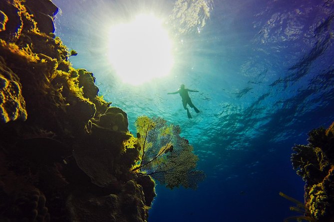 Cozumel Catamaran Snorkeling Tour & Lunch (Hotel Pick Up) - Regional dishes make the included lunch worthwhile