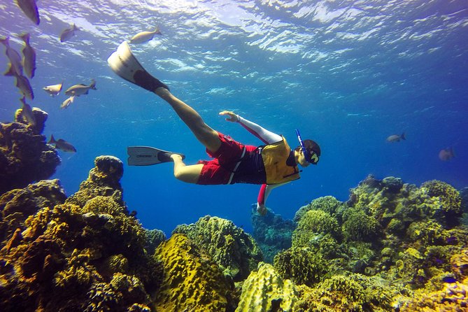 Cozumel Catamaran Snorkeling Tour & Lunch (Hotel Pick Up) - What to pack for the reef and water park
