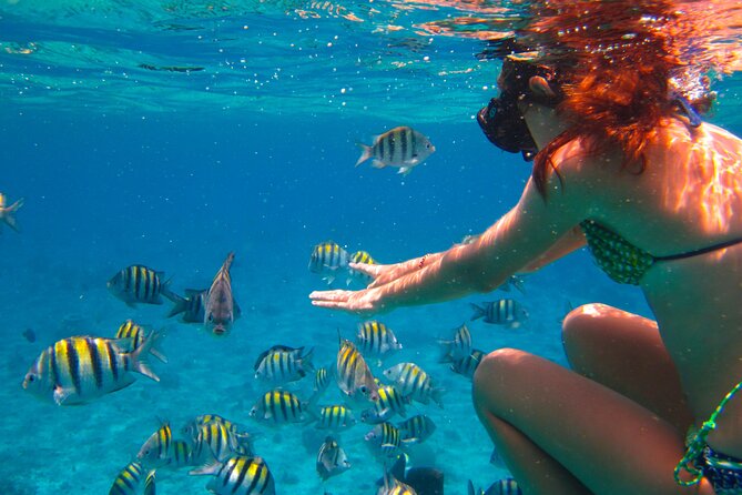 Cozumel El Cielo All Inclusive Tour from Cancun - What the $175 price really covers