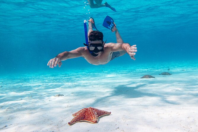 Cozumel Starfish and Tropical Reef Snorkeling by Powerboat with Lunch - Why Cozumel is worth the extra trip