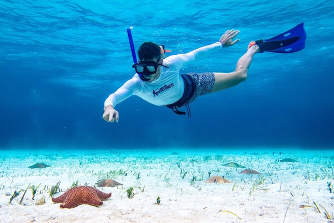 Cozumel Starfish and Tropical Reef Snorkeling by Powerboat with Lunch - El Cielo and the starfish sandbar