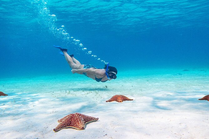 Cozumel Starfish and Tropical Reef Snorkeling by Powerboat with Lunch - Lunch and the practical comfort of the boat