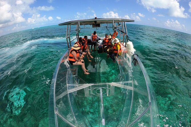 Crystal Boat Tour to Isla Mujeres and Reefs - A glass-bottom view of Isla Mujeres reefs