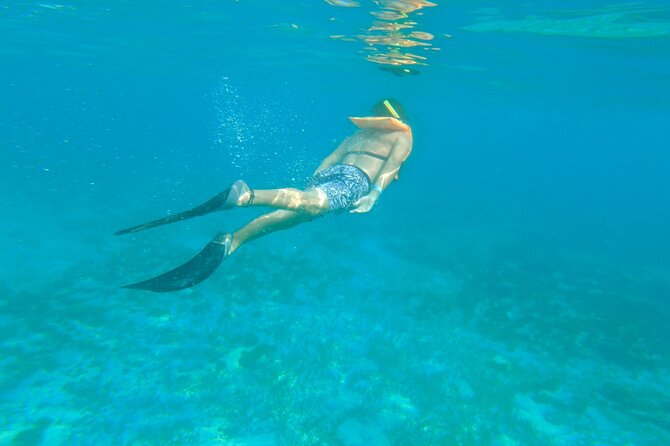 Dancer Cruise Isla Mujeres Snorkel Food and Drinks Included - The slide, trampoline, and open-water swim