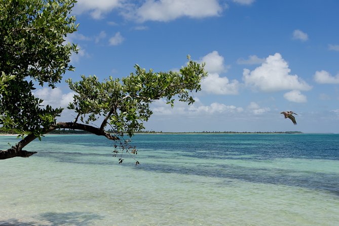 Deep into Nature at Sian Ka'an Biosphere! Round Transportation From Riviera Maya - Weather and the risk of a canceled day