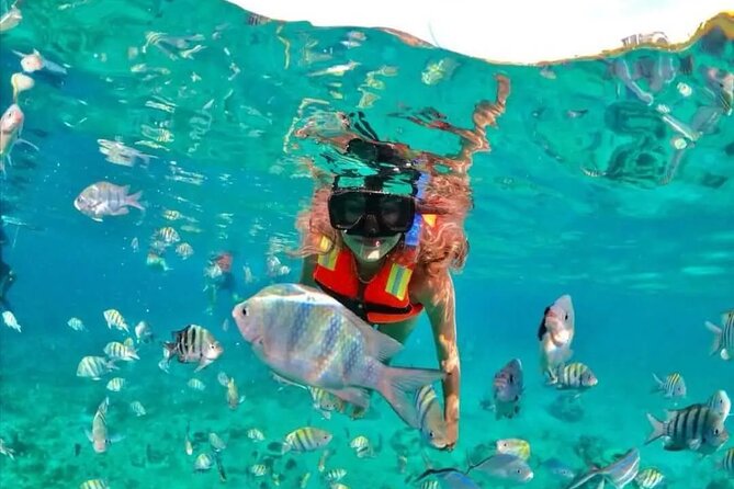 Deluxe Catamaran to Isla Mujeres with Open Bar from Cancun - The return cruise and farewell toast