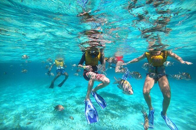 Deluxe Catamaran to Isla Mujeres with Open Bar from Cancun - What the $38.90 price really covers