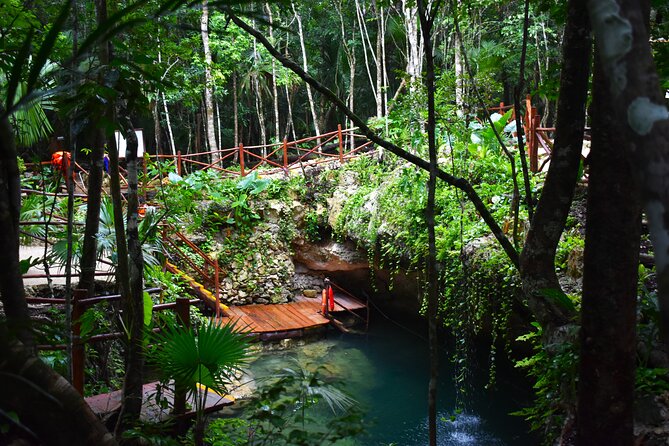 Discover 3 amazing cenotes. Includes transport & snack - Three cenotes, one compact Puerto Morelos outing