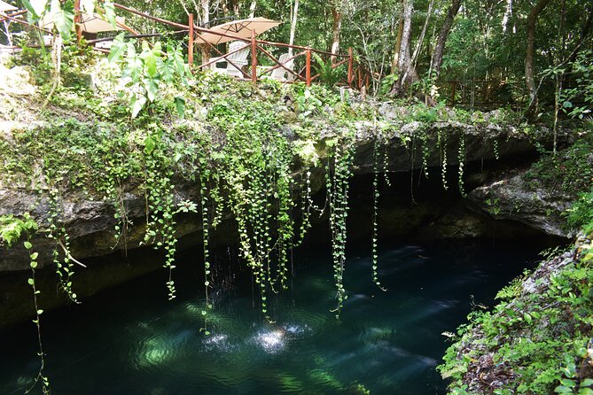 Discover 3 amazing cenotes. Includes transport & snack - Pickup times from Cancun, Playa del Carmen, and Tulum