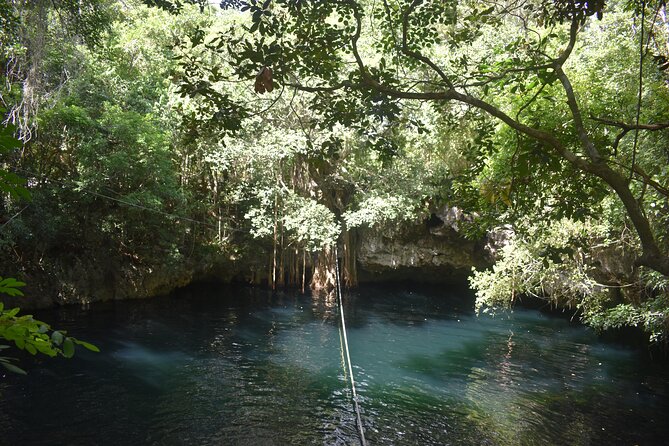 Discover 3 amazing cenotes. Includes transport & snack - A good balance of swimming and cultural explanation