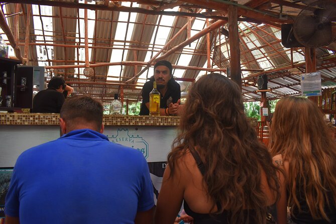 Discover 3 amazing cenotes. Includes transport & snack - What is included for $53.25