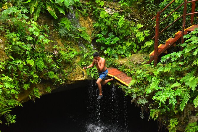 Discover 3 amazing cenotes. Includes transport & snack - The safari bus adds a rough-road adventure