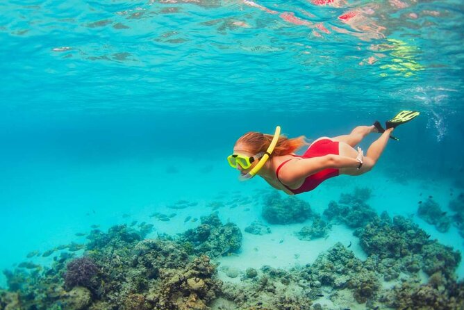 Discover Isla Contoy & Isla Mujeres: Nature, Snorkel & Beaches - The crew, safety, and group size
