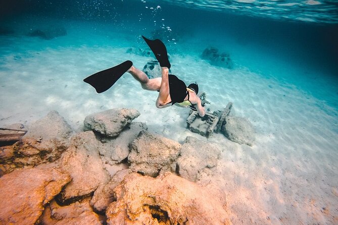 Discover Isla Contoy & Isla Mujeres: Nature, Snorkel & Beaches - Who should book this day