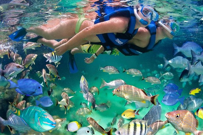 Discover Isla Mujeres tour with snorkel, buffet and open bar - Who will enjoy this day most