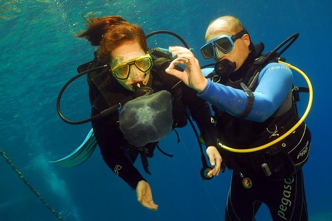 Discover Scuba - A first scuba experience built around comfort