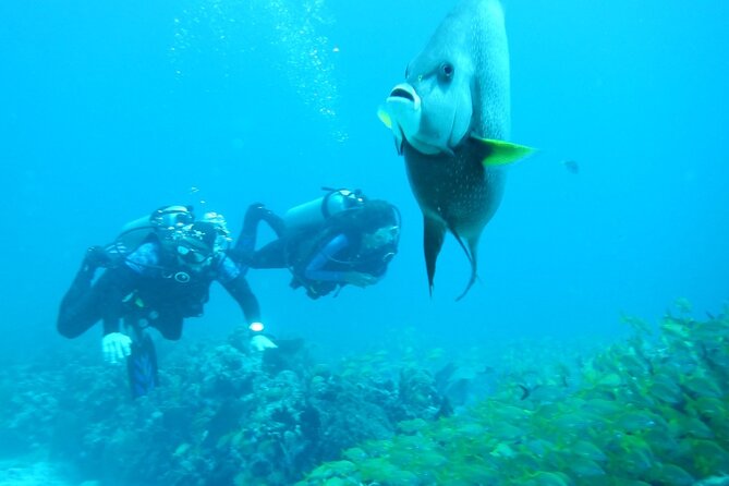Discover Scuba - Who will enjoy this most