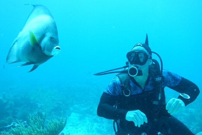 Discover Scuba - Practical planning for the morning