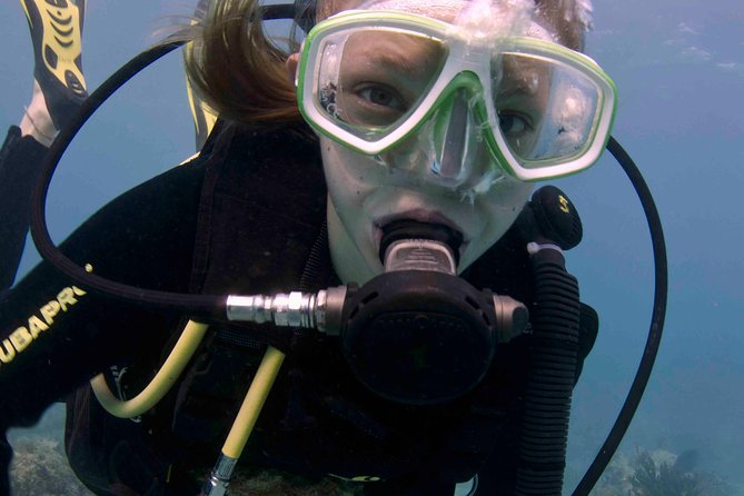 Discover Scuba Diving - One Tank at Coral Reef - From pool practice to Puerto Morelos reef