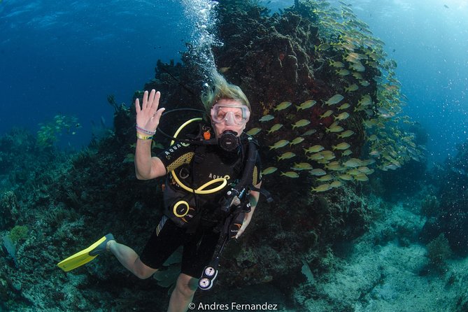 Discover scuba ,MUSA and Manchones reef dive without license - Equipment, fitness, and comfort