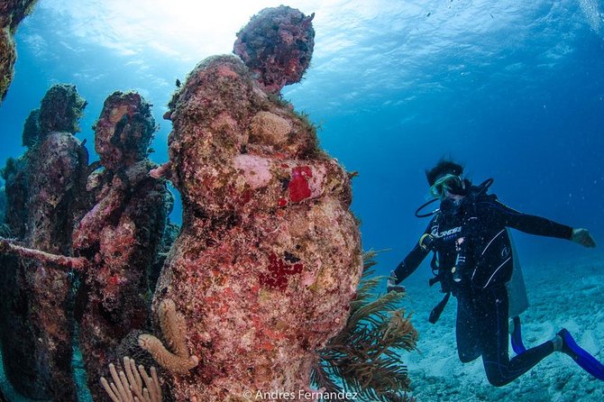 Discover scuba ,MUSA and Manchones reef dive without license - Who will enjoy this experience most