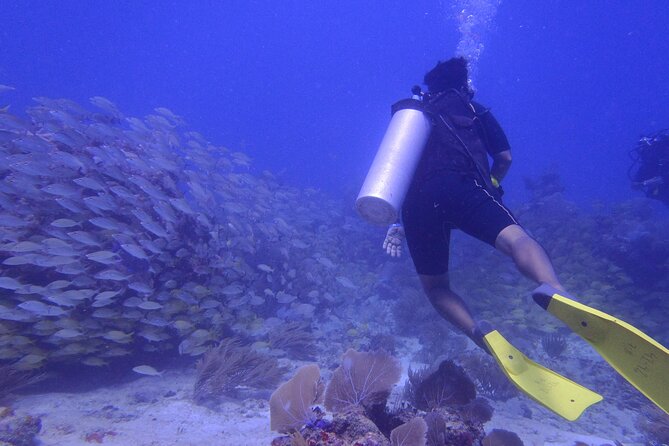 Discover Scuba - Reaching the National Reef Park