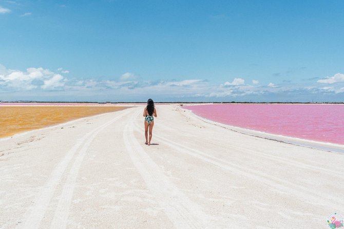 Discover the FABULOUS PINK WATERS in the Caribean - Food, water, and the heat