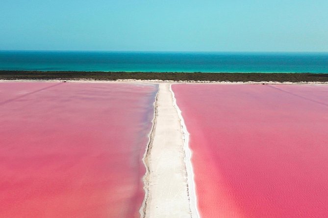 Discover the FABULOUS PINK WATERS in the Caribean - Who will enjoy this day most
