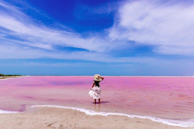 Discover the FABULOUS PINK WATERS in the Caribean - A long road from Cancun and Riviera Maya